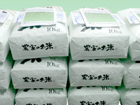 まごころ米（ハツシモ）白米 30kg（10kg×3つ）